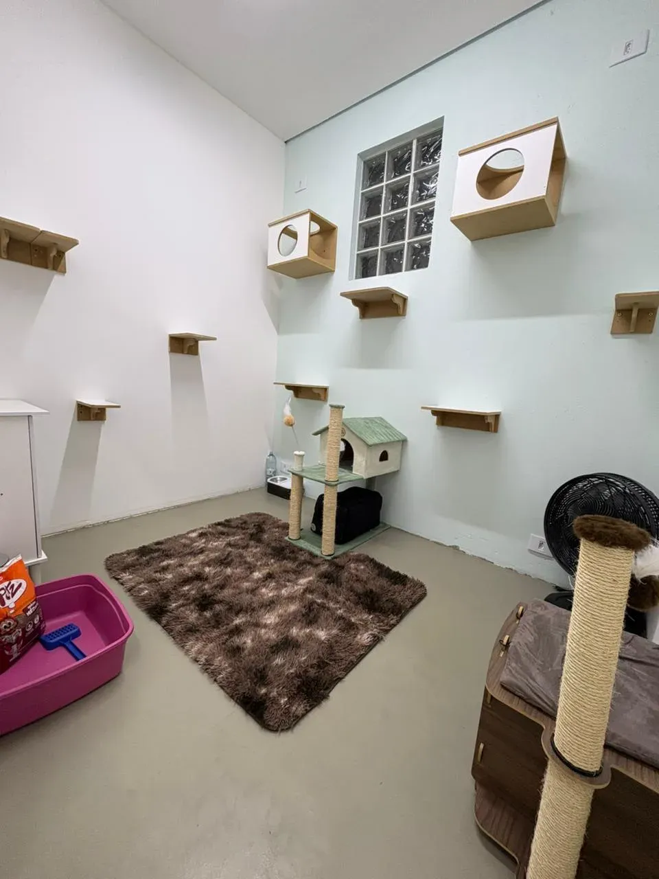 Vista do Quarto Cora no Cat Resort