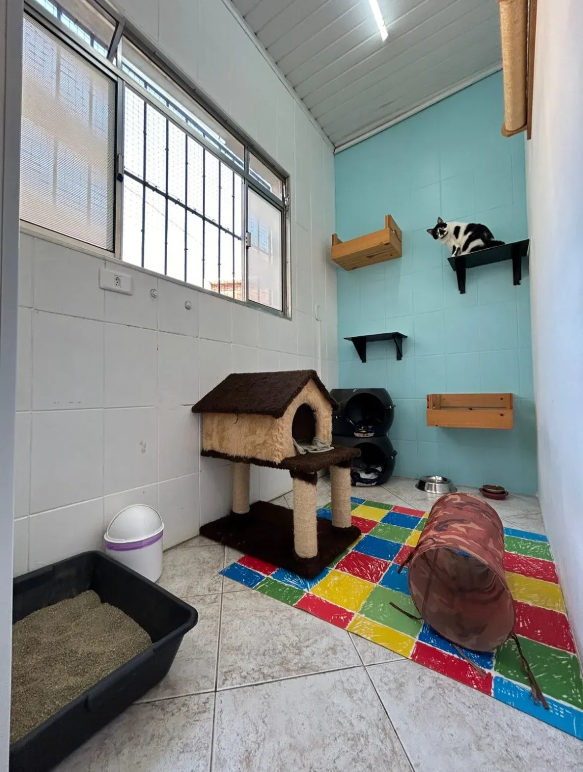 Vista do Quarto Aura no Cat Resort