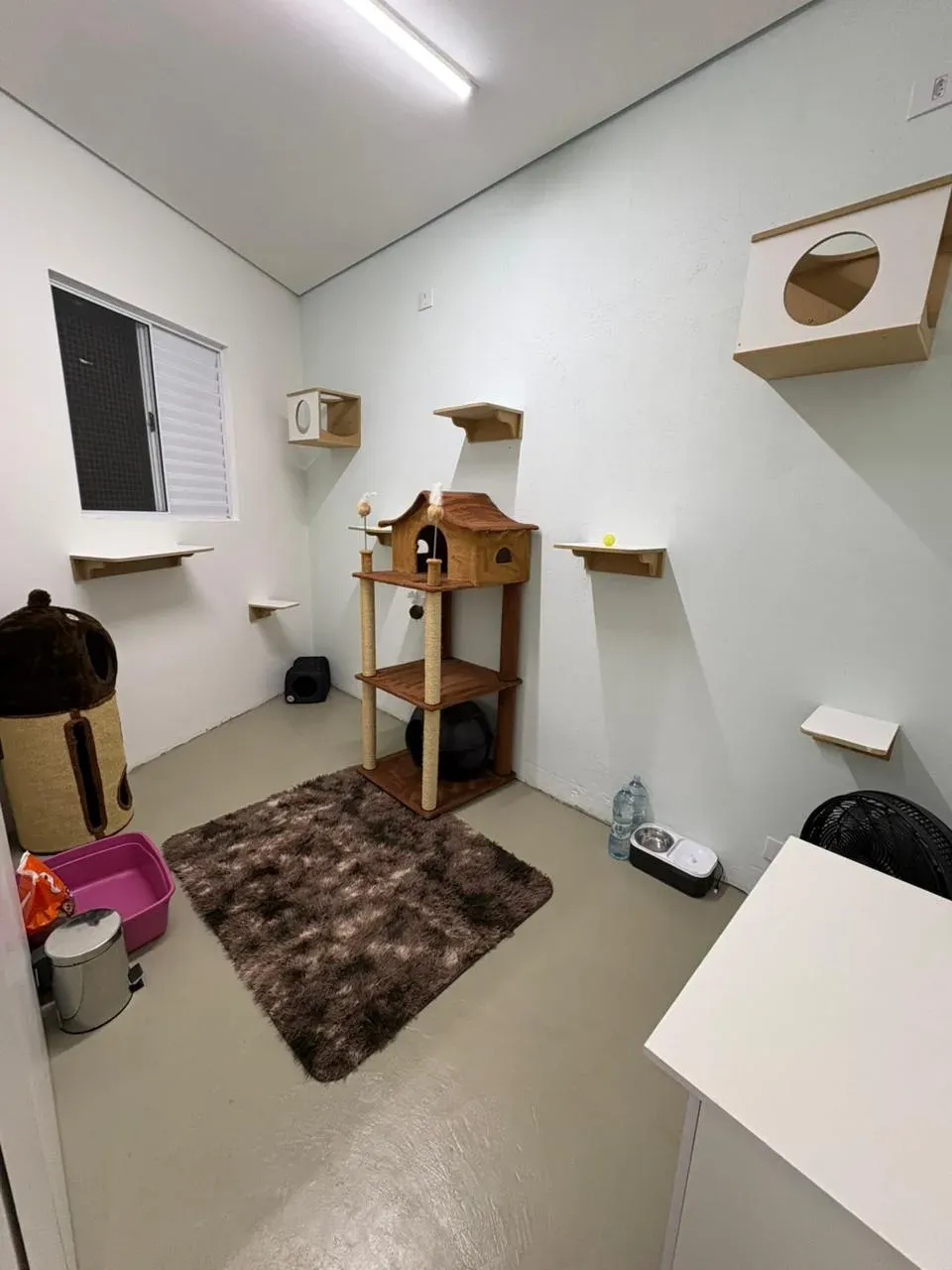 Quarto do Cat Resort