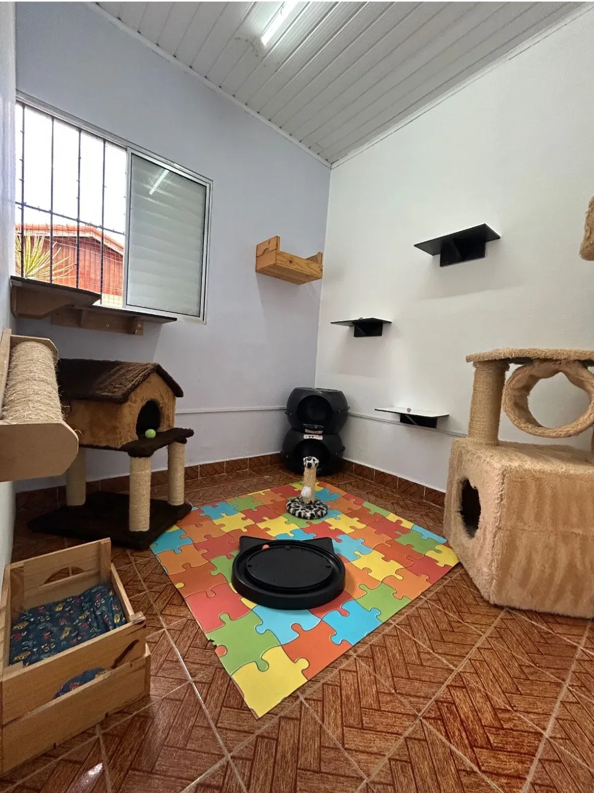 Vista do Quarto Kalil no Cat Resort