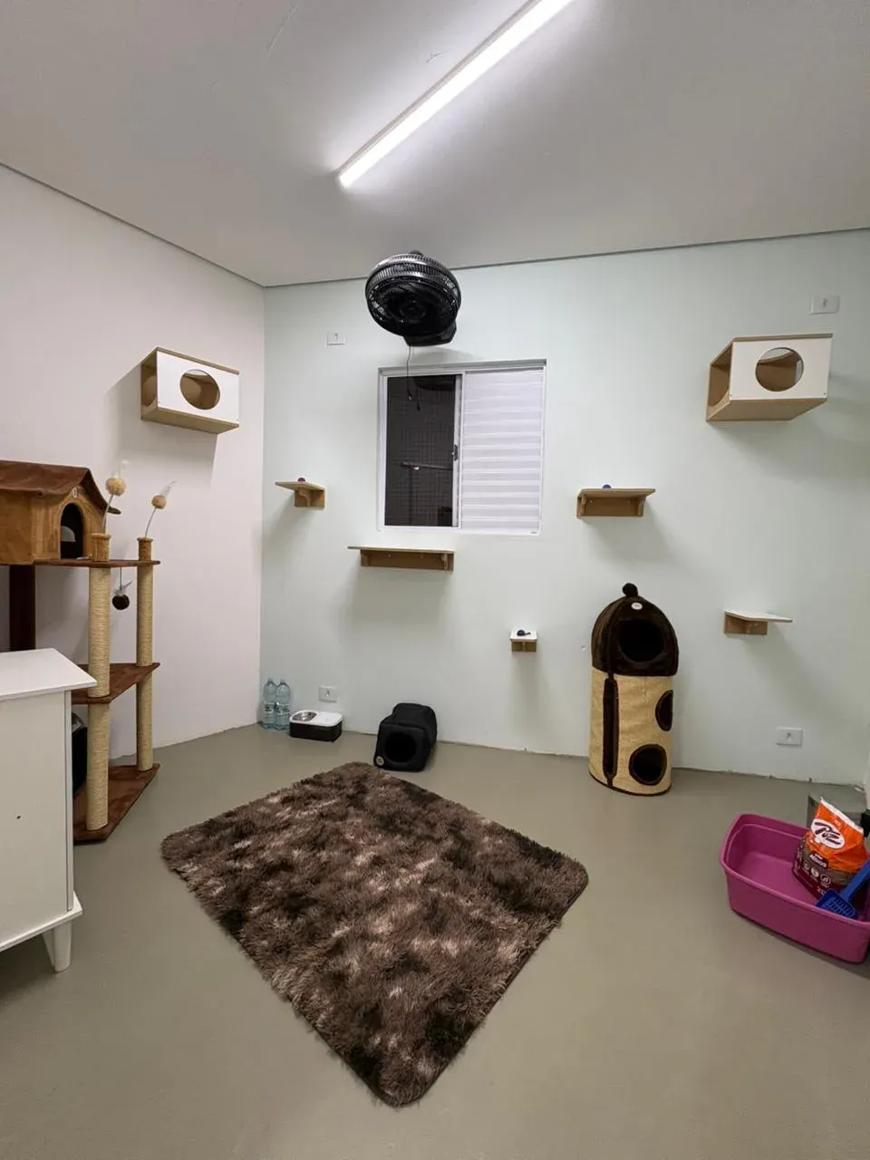 Área interna do Cat Resort