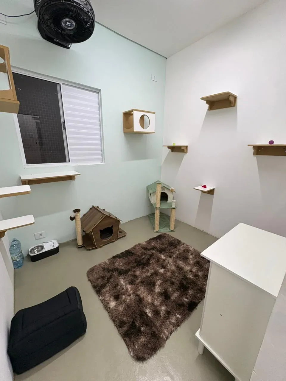 Vista do Quarto Théo no Cat Resort