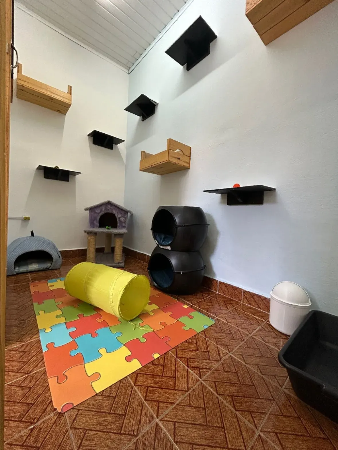 Vista do Quarto Thomas no Cat Resort