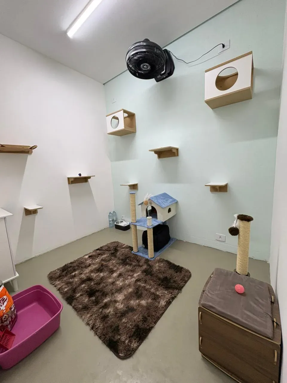 Vista do Quarto Zion no Cat Resort