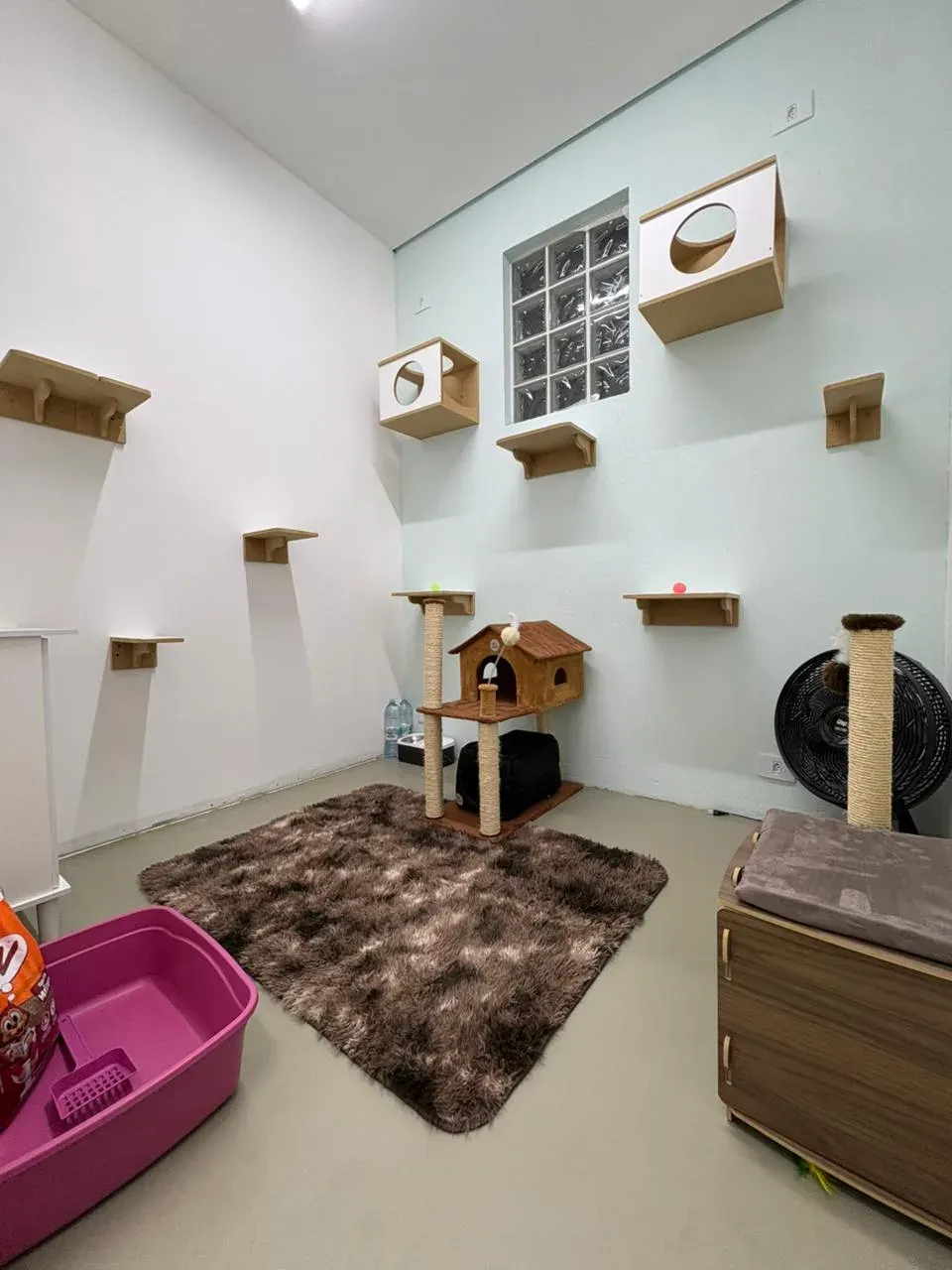 Vista do Quarto Apollo no Cat Resort