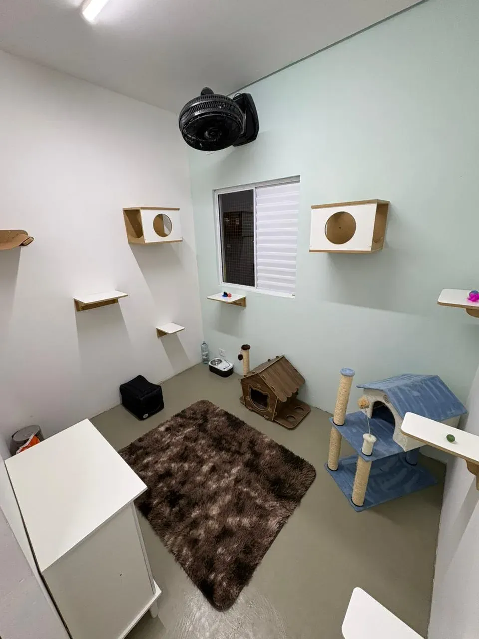 Vista do Quarto Ayron no Cat Resort