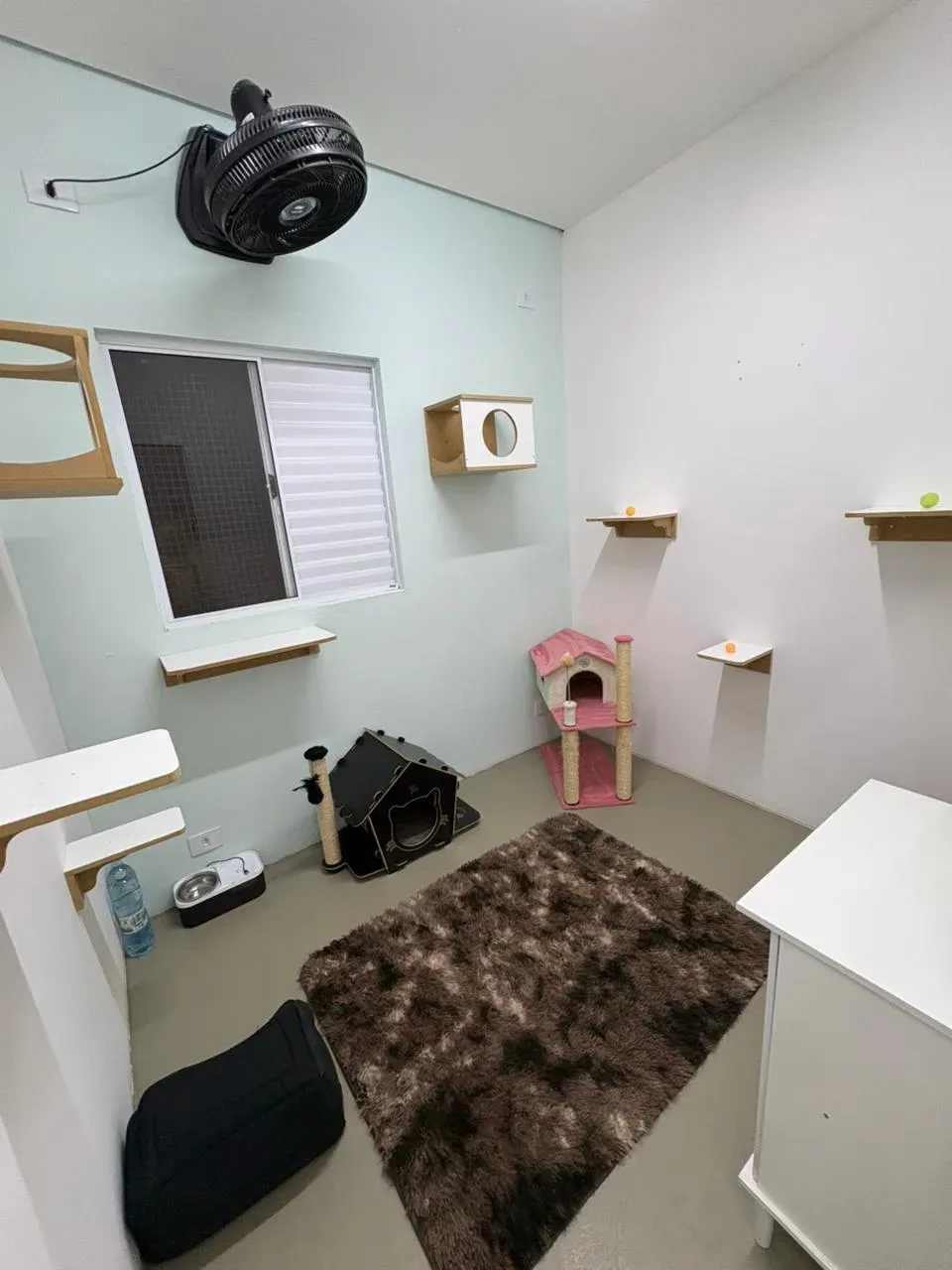 Vista do Quarto Gaya no Cat Resort